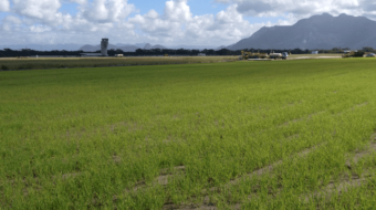Hidrossemeadura no aeroporto de Vitória no espírito santo em oura parte de área - nativa ambiental