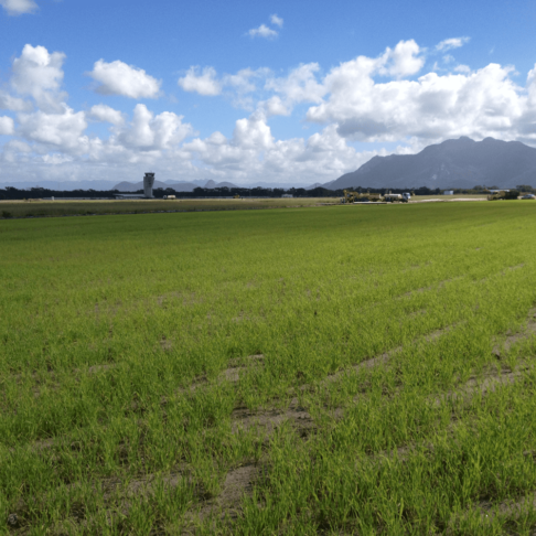 Hidrossemeadura no aeroporto de Vitória no espírito santo em oura parte de área - nativa ambiental