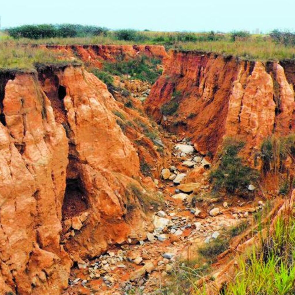 Proteção Contra Erosão - Nativa Ambiental